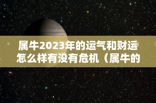 属牛2023年的运气和财运怎么样有没有危机（属牛的2023年的运势）