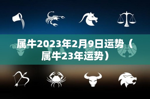 属牛2023年2月9日运势（属牛23年运势）