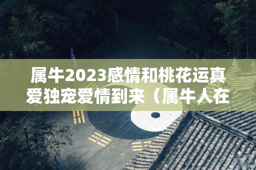 属牛2023感情和桃花运真爱独宠爱情到来（属牛人在2023年的运势怎么样）