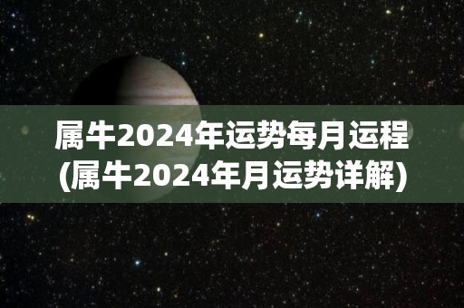 属牛2024年运势每月运程(属牛2024年月运势详解)