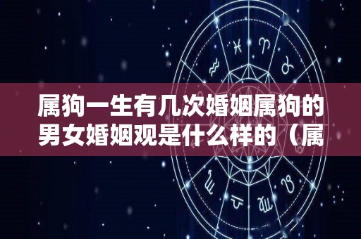 属狗一生有几次婚姻属狗的男女婚姻观是什么样的（属狗的有几次婚姻状况）