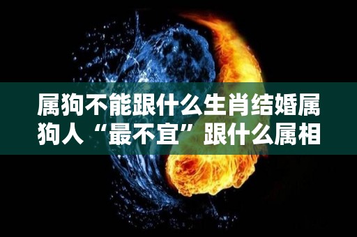 属狗不能跟什么生肖结婚属狗人“最不宜”跟什么属相结婚？（属狗的和什么不能配）