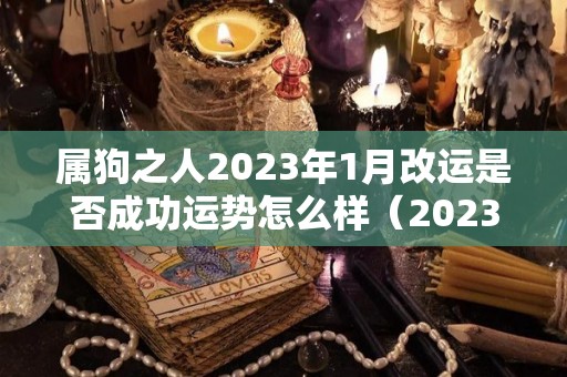 属狗之人2023年1月改运是否成功运势怎么样（2023年属狗人的全年每月运势）