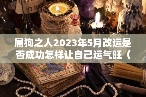 属狗之人2023年5月改运是否成功怎样让自己运气旺（2023年属狗人每月运势及运程）