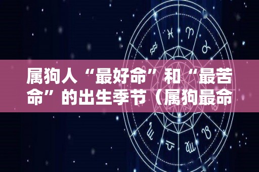 属狗人“最好命”和“最苦命”的出生季节（属狗最命苦出生日期是什么时候）