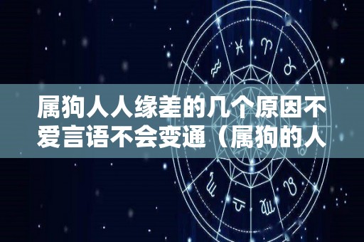 属狗人人缘差的几个原因不爱言语不会变通（属狗的人为人怎么样?）