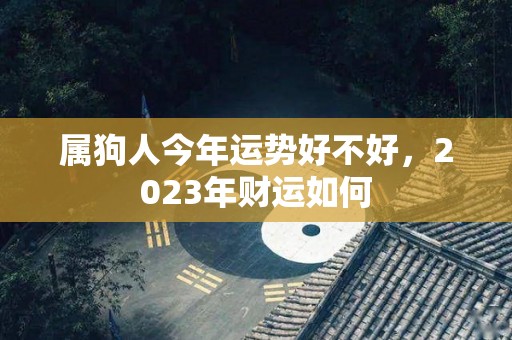 属狗人今年运势好不好，2023年财运如何