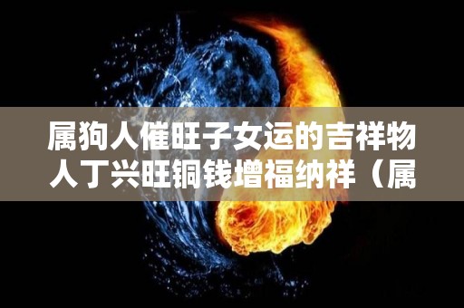 属狗人催旺子女运的吉祥物人丁兴旺铜钱增福纳祥（属狗的人福气好吗）