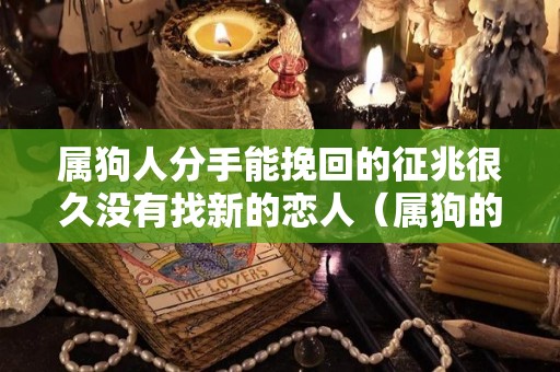 属狗人分手能挽回的征兆很久没有找新的恋人（属狗的男人分手后会回头吗?）
