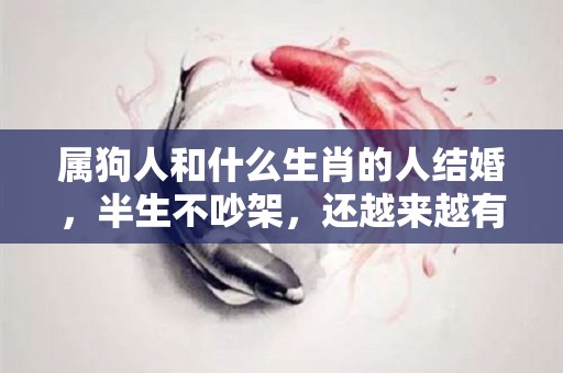 属狗人和什么生肖的人结婚，半生不吵架，还越来越有钱（属狗的人和属什么的结婚最好）