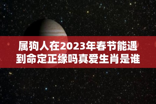 属狗人在2023年春节能遇到命定正缘吗真爱生肖是谁（属狗2023年属狗）