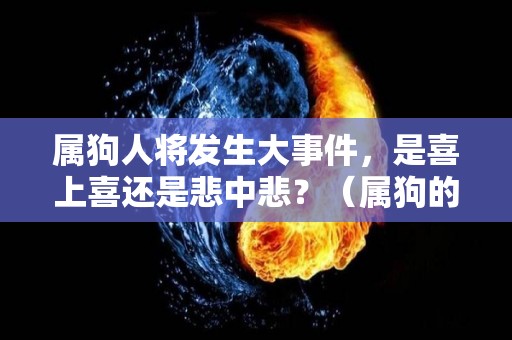 属狗人将发生大事件，是喜上喜还是悲中悲？（属狗的人会怎么样）