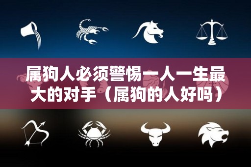 属狗人必须警惕一人一生最大的对手（属狗的人好吗）