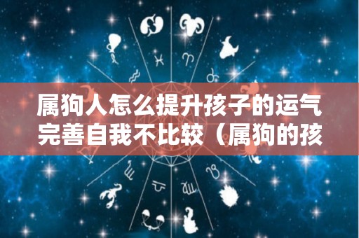 属狗人怎么提升孩子的运气完善自我不比较（属狗的孩子今年学业咋样）