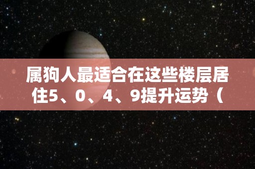 属狗人最适合在这些楼层居住5、0、4、9提升运势（属狗的人宜居的楼层）