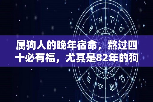 属狗人的晚年宿命，熬过四十必有福，尤其是82年的狗（82年属狗人一生运势40岁）