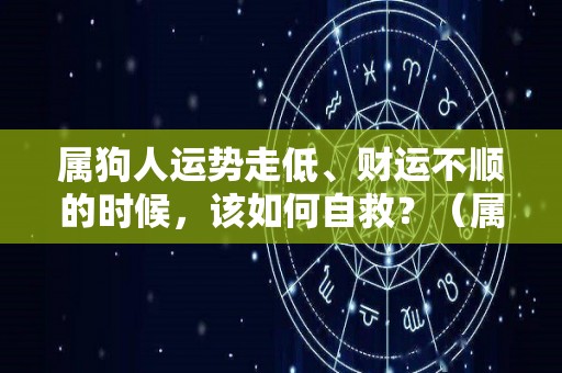 属狗人运势走低、财运不顺的时候，该如何自救？（属狗的人运气）