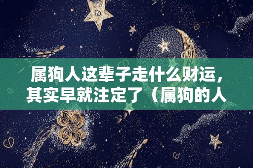 属狗人这辈子走什么财运，其实早就注定了（属狗的人一辈子怎么样）