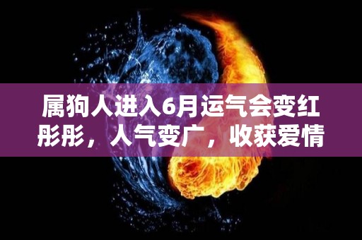 属狗人进入6月运气会变红彤彤，人气变广，收获爱情（属狗人2021年全6月运势详解）