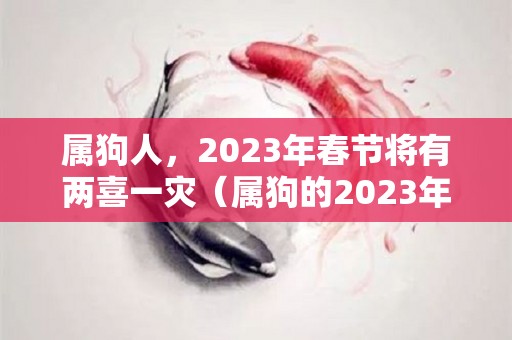 属狗人，2023年春节将有两喜一灾（属狗的2023年适合结婚吗）