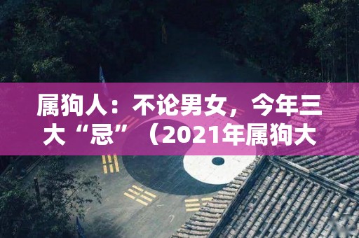 属狗人：不论男女，今年三大“忌”（2021年属狗大忌）