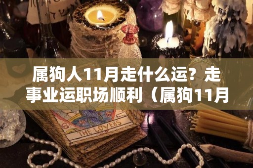 属狗人11月走什么运？走事业运职场顺利（属狗11月份）