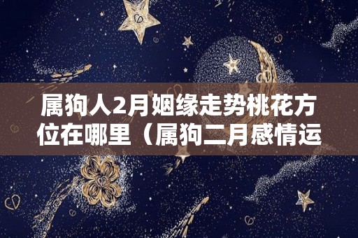 属狗人2月姻缘走势桃花方位在哪里（属狗二月感情运势）