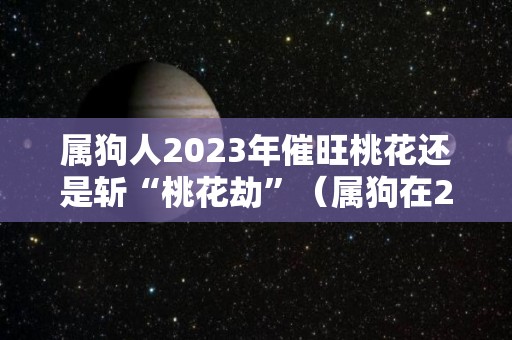 属狗人2023年催旺桃花还是斩“桃花劫”（属狗在2023年怎么样）