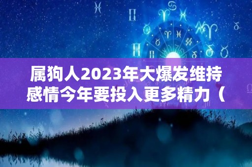 属狗人2023年大爆发维持感情今年要投入更多精力（属狗人2023年运势如何）