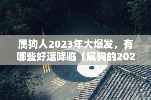 属狗人2023年大爆发，有哪些好运降临（属狗的2023年怎么样）