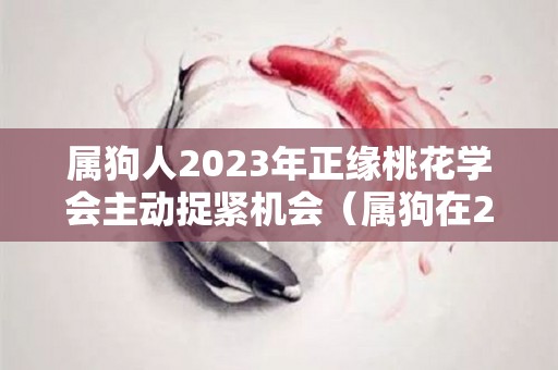 属狗人2023年正缘桃花学会主动捉紧机会（属狗在2023年婚姻怎么样）