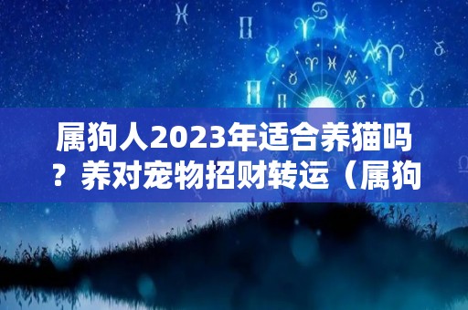 属狗人2023年适合养猫吗？养对宠物招财转运（属狗的人养猫运气变好）