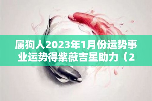 属狗人2023年1月份运势事业运势得紫薇吉星助力（2023属狗人全年12个月运势）