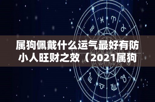 属狗佩戴什么运气最好有防小人旺财之效（2021属狗的人佩戴什么最好）