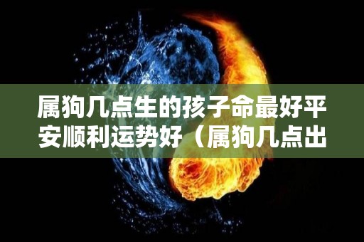 属狗几点生的孩子命最好平安顺利运势好（属狗几点出生最好命运狗宝宝几点出生最好的）