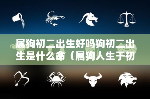 属狗初二出生好吗狗初二出生是什么命（属狗人生于初二）