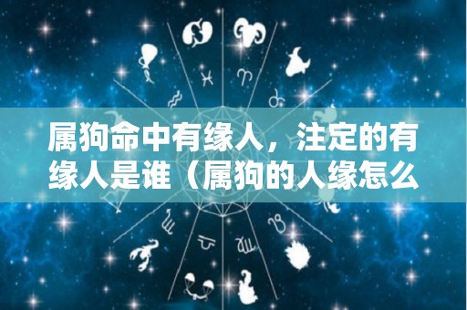属狗命中有缘人，注定的有缘人是谁（属狗的人缘怎么样）