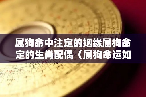 属狗命中注定的姻缘属狗命定的生肖配偶（属狗命运如何会大富大贵吗,有贵人相助吗）