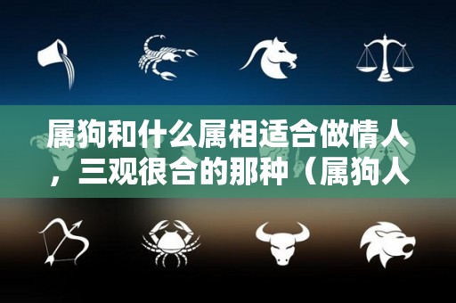 属狗和什么属相适合做情人，三观很合的那种（属狗人和什么生肖最合）