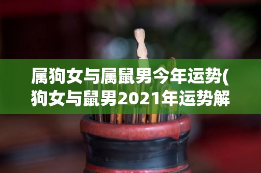 属狗女与属鼠男今年运势(狗女与鼠男2021年运势解析)