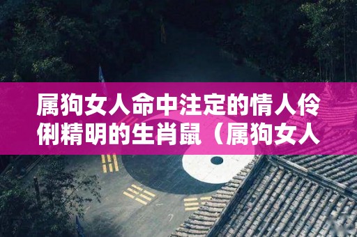 属狗女人命中注定的情人伶俐精明的生肖鼠（属狗女人命中注定的另一半）