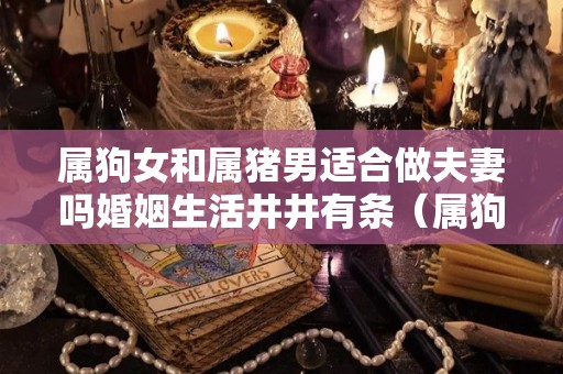 属狗女和属猪男适合做夫妻吗婚姻生活井井有条（属狗女和属猪男的合得来吗）