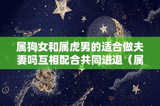 属狗女和属虎男的适合做夫妻吗互相配合共同进退（属狗女和属虎男相克吗）