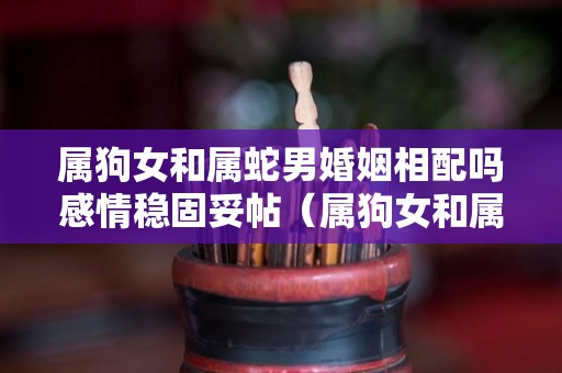 属狗女和属蛇男婚姻相配吗感情稳固妥帖（属狗女和属蛇男婚配怎么样）