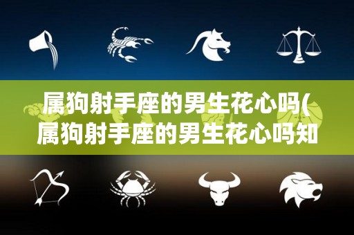 属狗射手座的男生花心吗(属狗射手座的男生花心吗知乎)