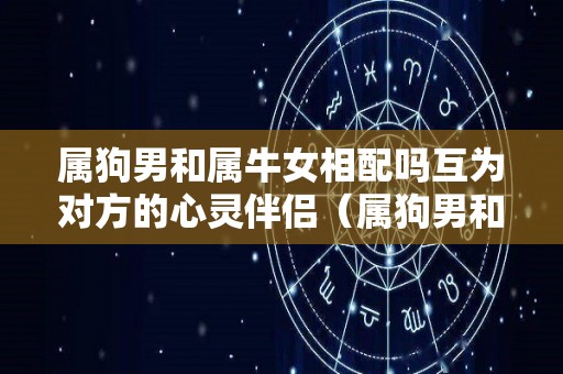 属狗男和属牛女相配吗互为对方的心灵伴侣（属狗男和属牛女配婚姻好不好）