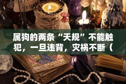 属狗的两条“天规”不能触犯，一旦违背，灾祸不断（属狗人士）