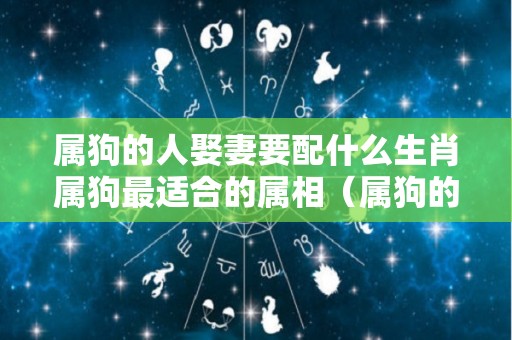 属狗的人娶妻要配什么生肖属狗最适合的属相（属狗的娶什么属相最好）
