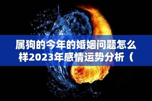 属狗的今年的婚姻问题怎么样2023年感情运势分析（2021年属狗的今年婚姻状况如何）