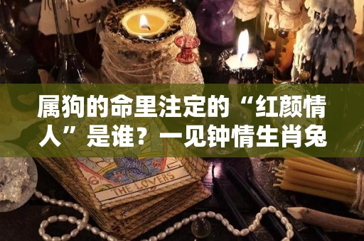 属狗的命里注定的“红颜情人”是谁？一见钟情生肖兔（属狗注定的缘分是谁）